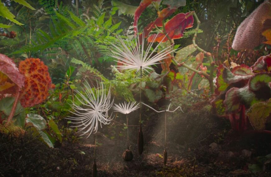La tête dans les Planètes