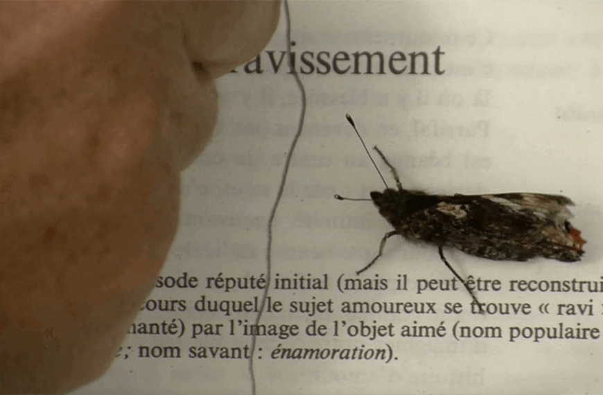 Un ravissement