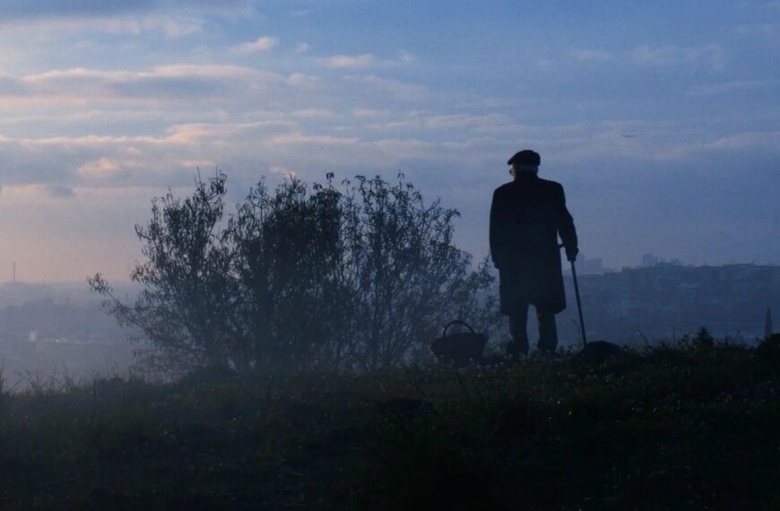 Tsounami, revue paysanne et gérontophile