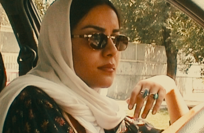 À travers la vitre, la sauterelle