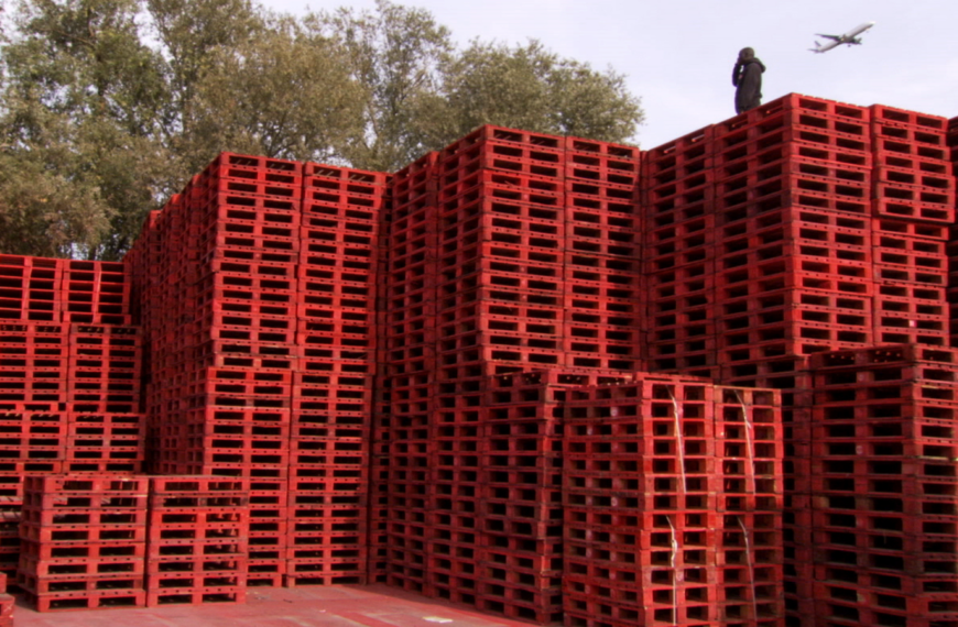 Le Vietnam brûle et moi je hurle Mao Mao