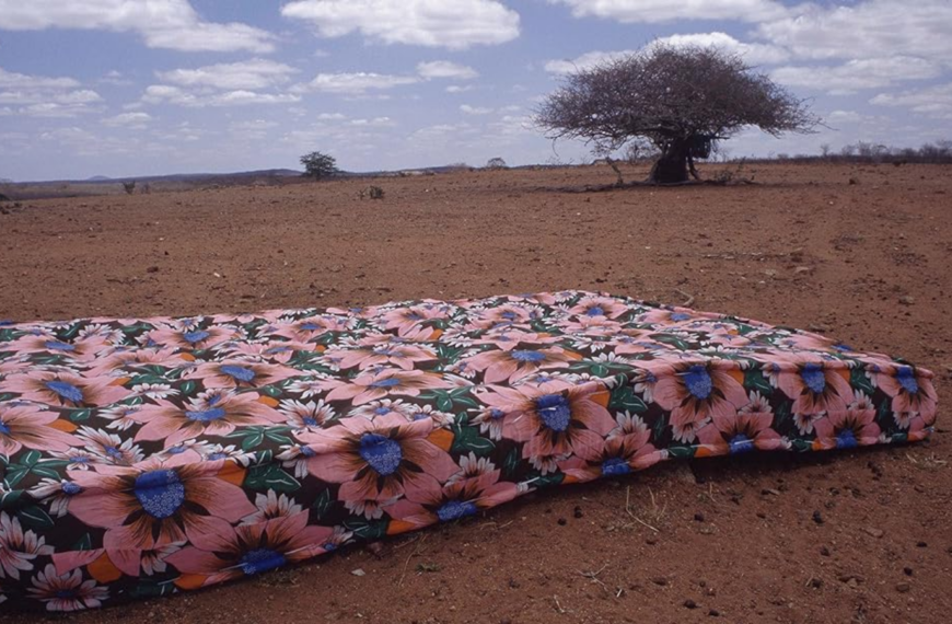 Je voyage parce qu’il le faut, je reviens parce que…