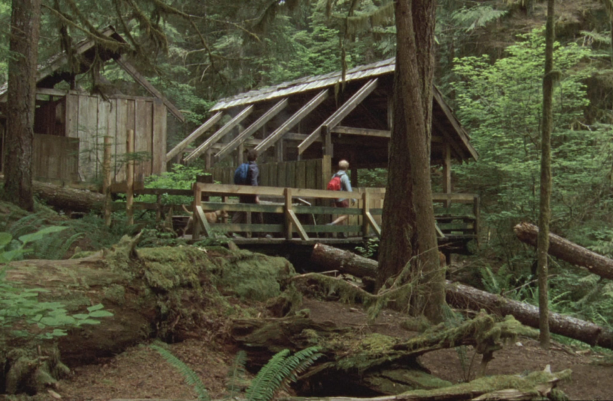 Une limace dans la mousse