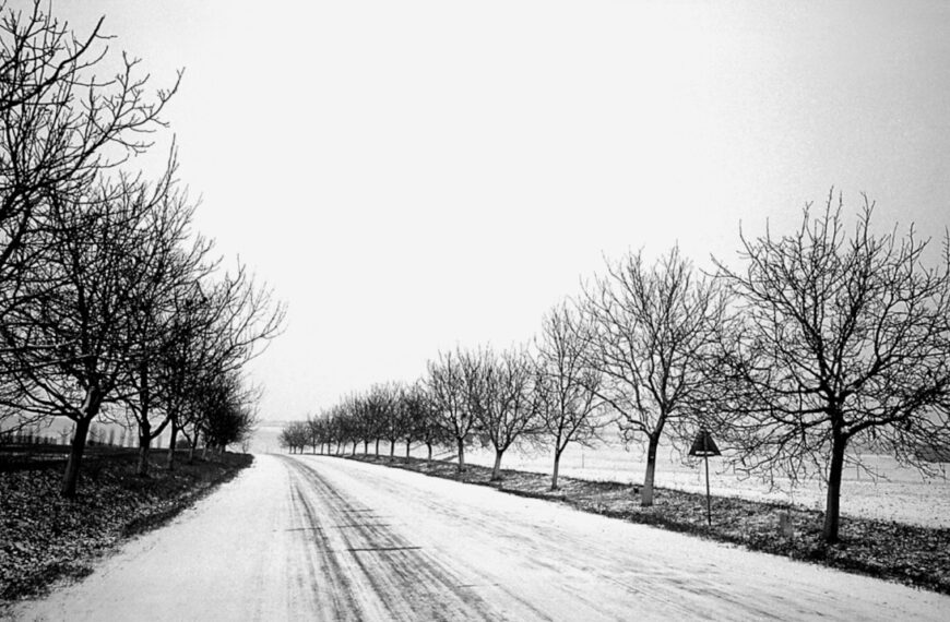 L’arroseur arrosé