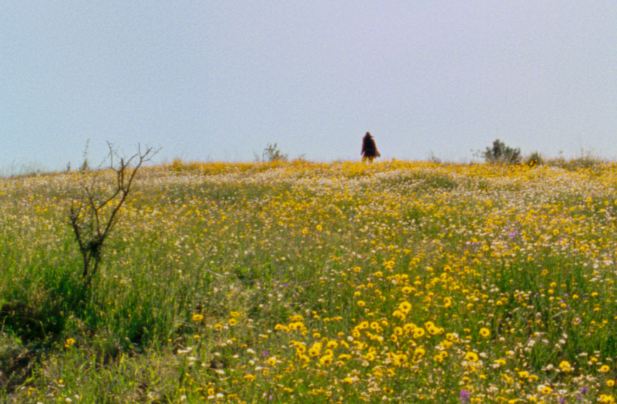 C’est ça le socialisme