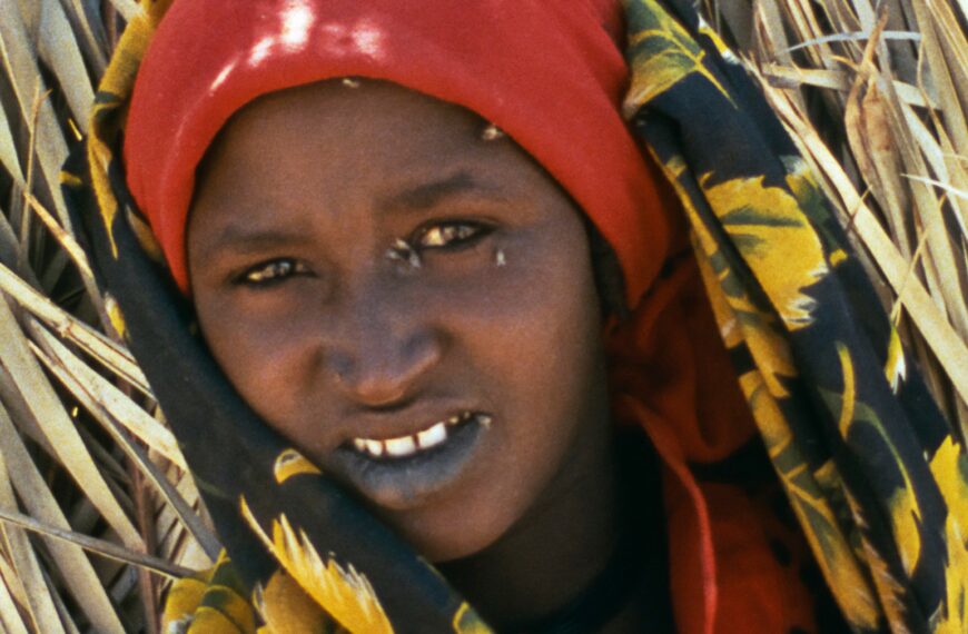 Continent du silence