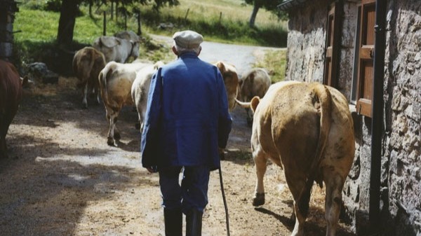 Dans les plis de la terre