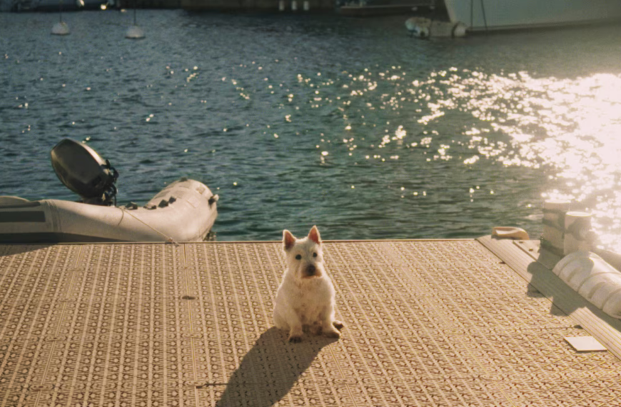 L’instinct de la rumeur inspire la mort