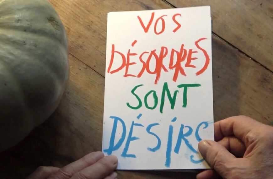Collectionner les papillons n’est pas thésauriser